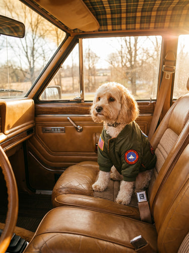 VESTE BOMBER POUR CHIEN TOP GUN®