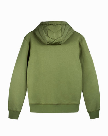 #color_olive