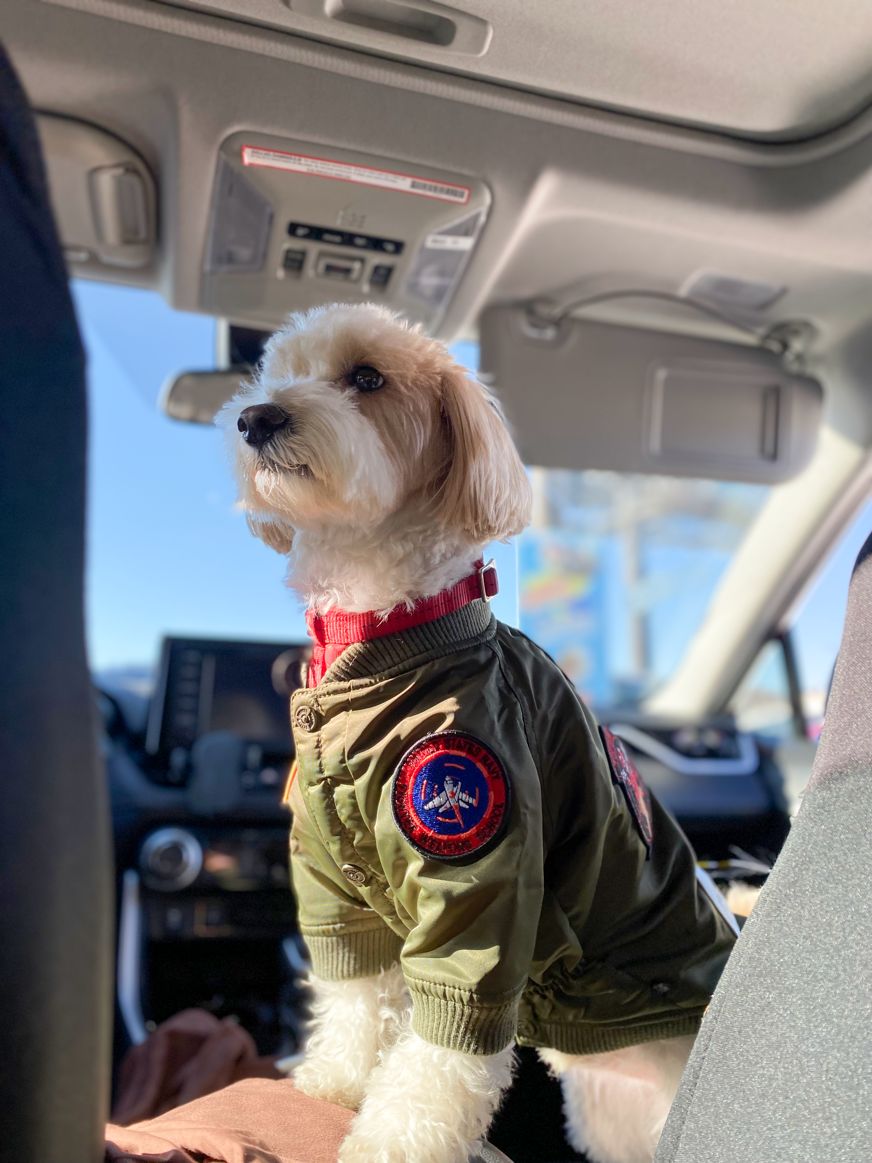 TOP GUN® DOG BOMBER JACKET