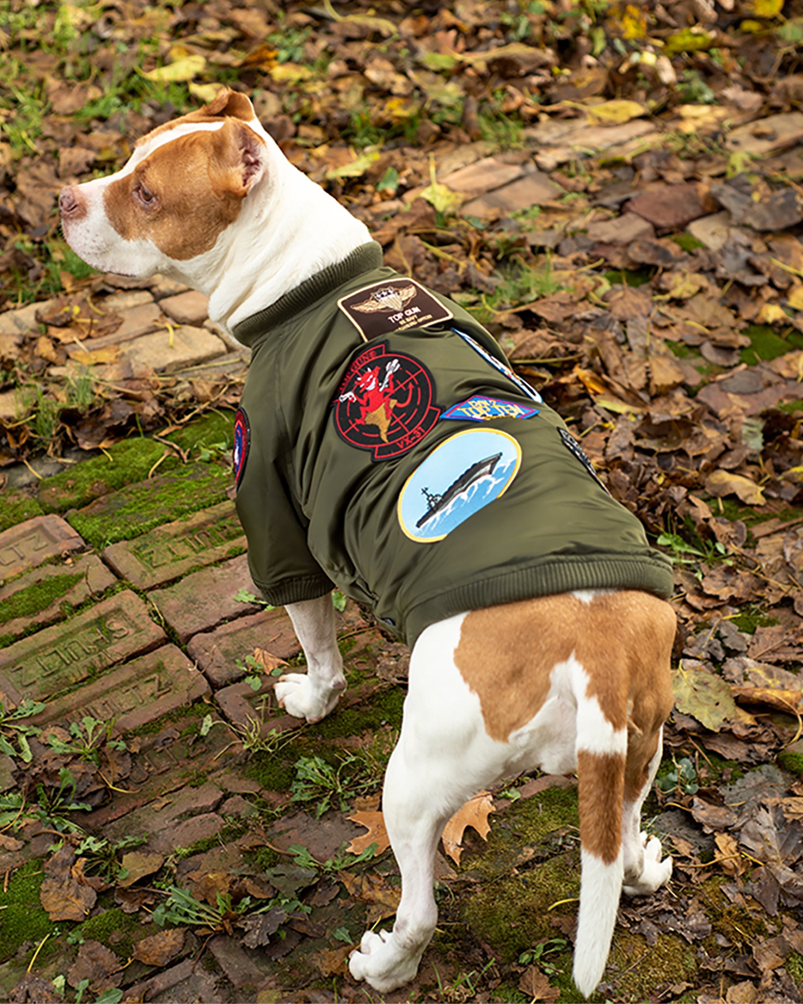 Top Gun Dog Jackets | The Top Gun® Official Store – Top Gun Store