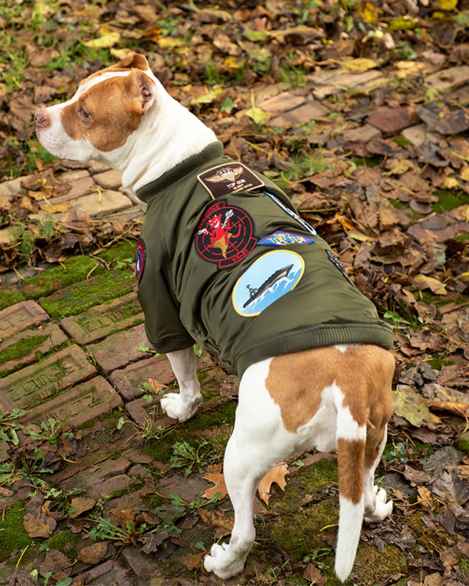 TOP GUN® DOG BOMBER JACKET-Olive