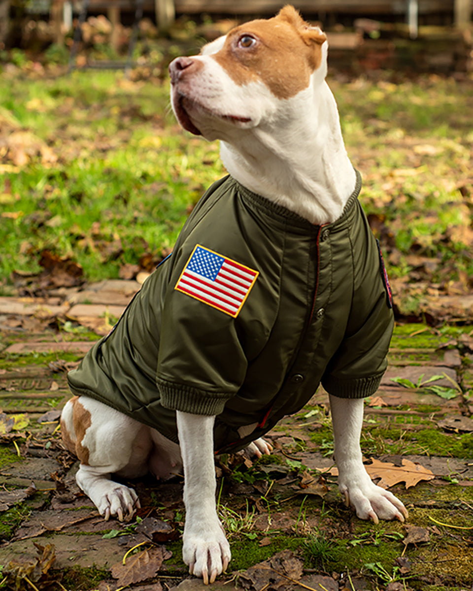 TOP GUN® DOG BOMBER JACKET – Top Gun Store