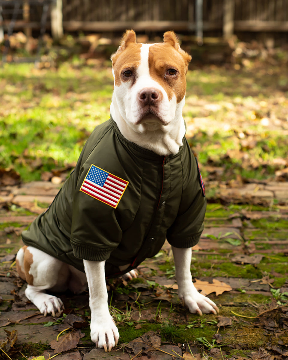 TOP GUN® DOG BOMBER JACKET – Top Gun Store