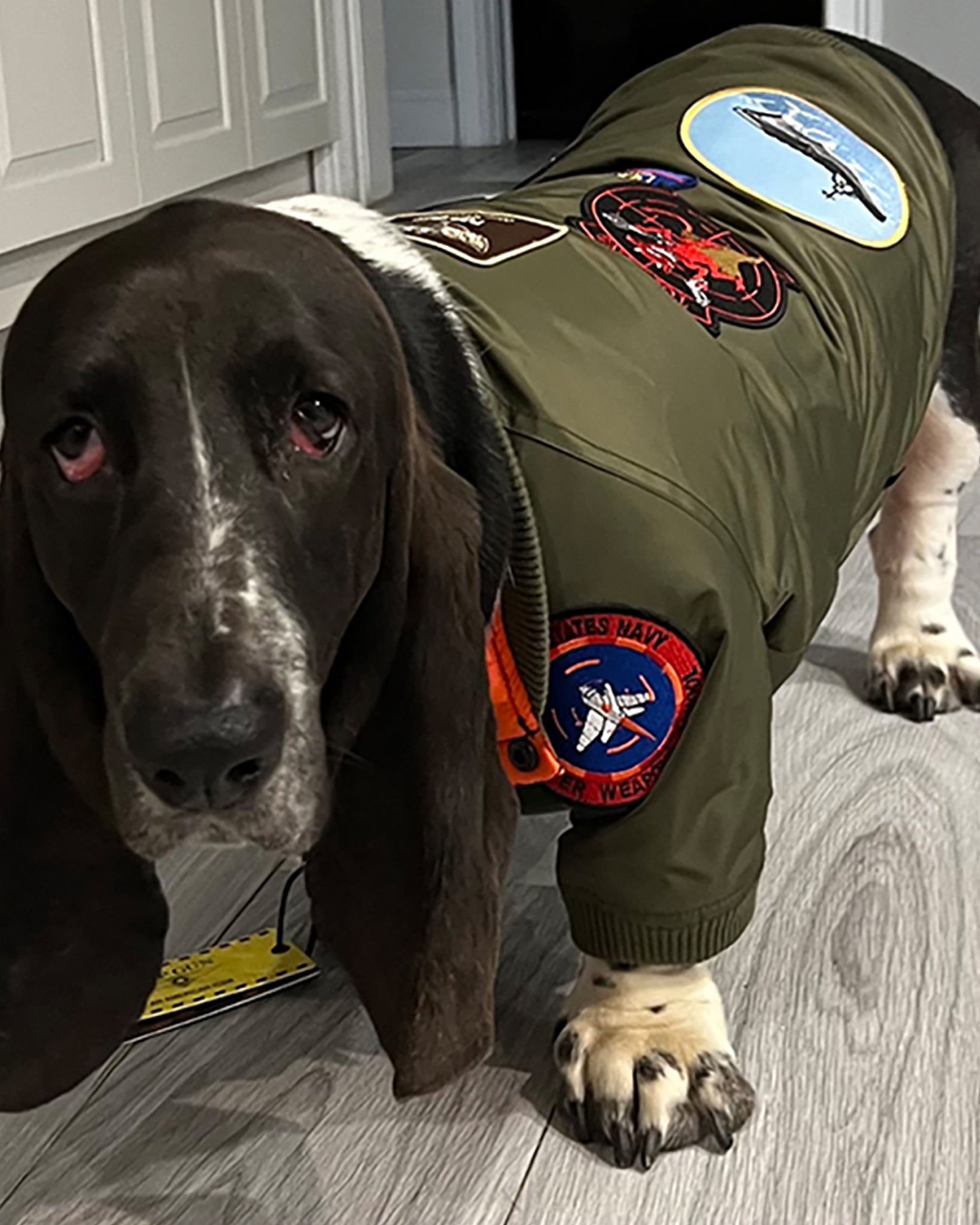 top dog gear TOP GUN DOG BOMBER JACKET Olive / 2X