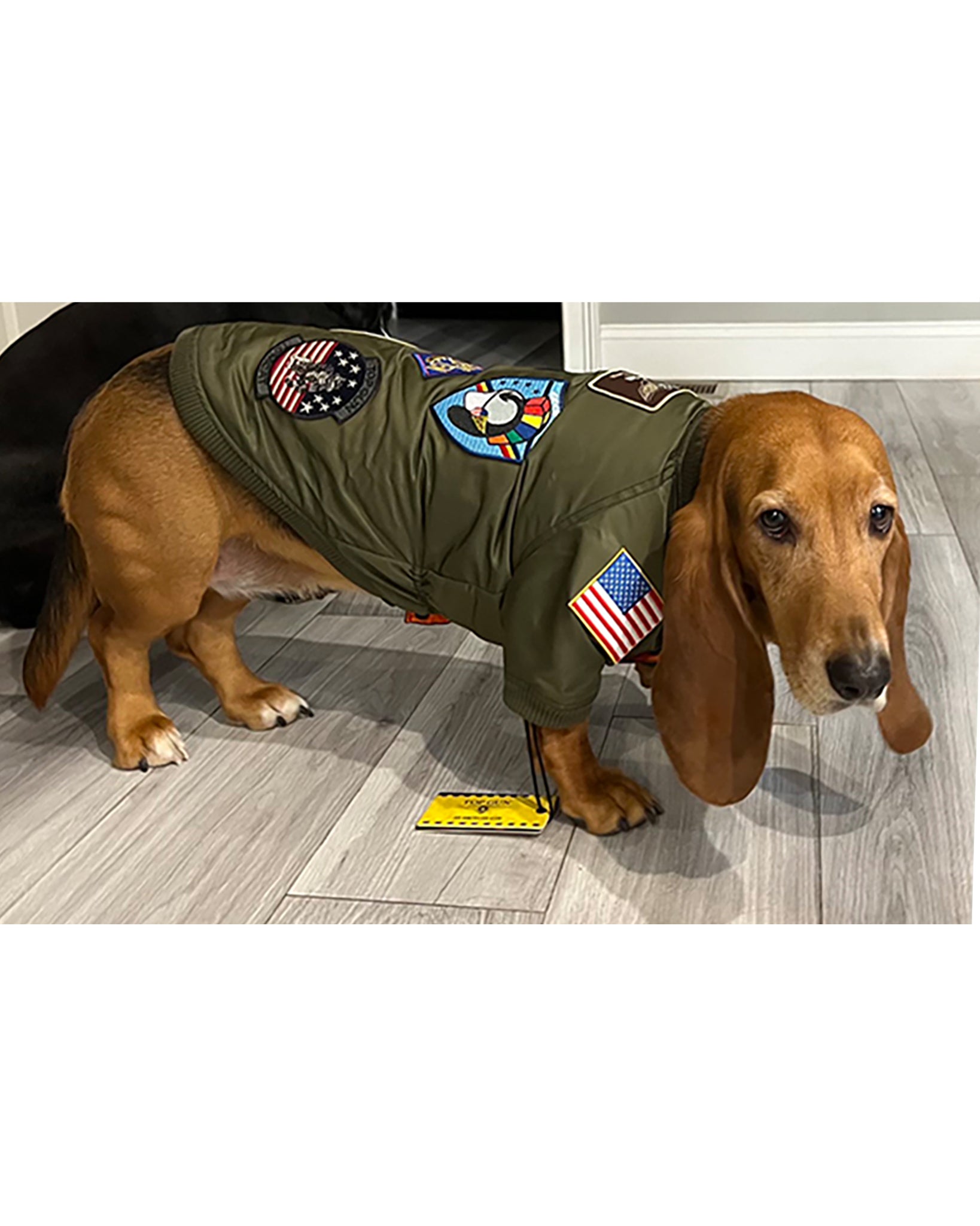 top dog gear TOP GUN DOG BOMBER JACKET Olive / 2X