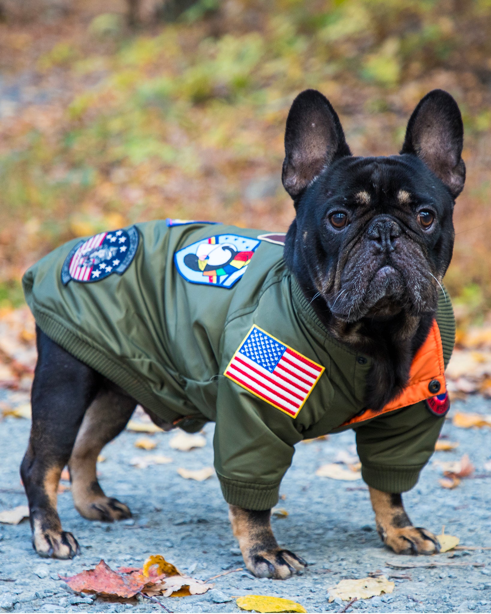 Op Dig Top Gun Dog Toy at Eric Phillips blog