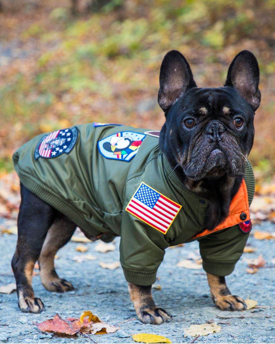 TOP GUN® DOG BOMBER JACKET – Top Gun Store