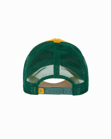 #color_brownish-yellow