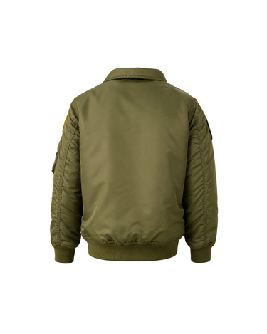 #color_olive