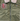 #color_olive