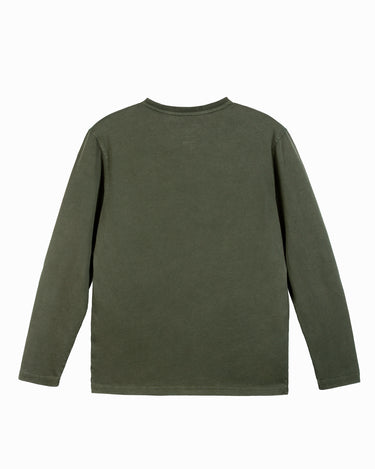 #color_olive