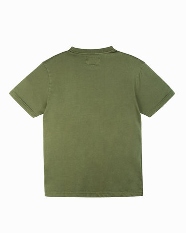 #color_olive